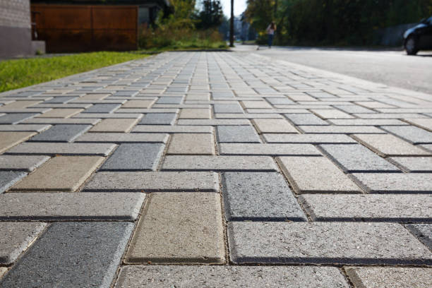 Best Local Driveway Pavers  in Candor, NC